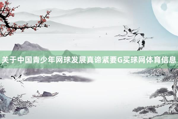关于中国青少年网球发展真谛紧要G买球网体育信息