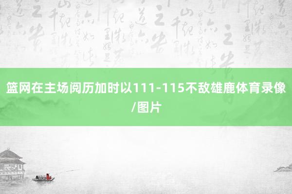 篮网在主场阅历加时以111-115不敌雄鹿体育录像/图片