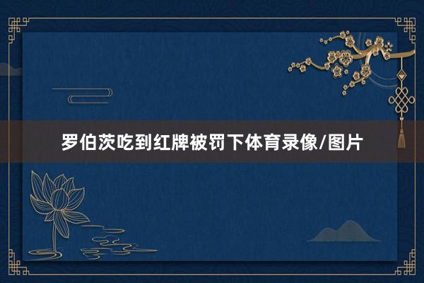 罗伯茨吃到红牌被罚下体育录像/图片