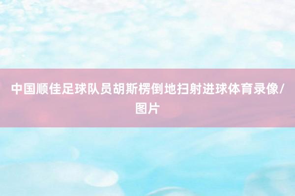 中国顺佳足球队员胡斯楞倒地扫射进球体育录像/图片