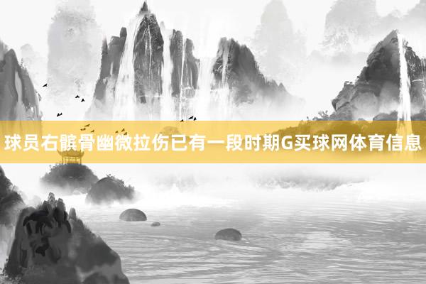 球员右髌骨幽微拉伤已有一段时期G买球网体育信息